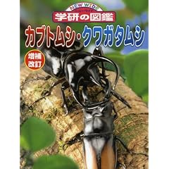 �J�u�g���V�E�N���K�^���V (�j���[���C�h�w���̐}��)