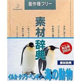 �f�ގ��T Vol.72 �C���J�E�N�W���E�y���M�� �C�̓�����