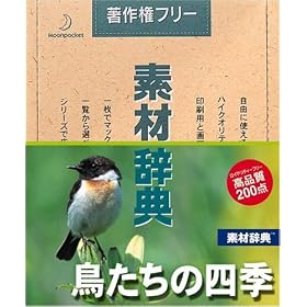 �f�ގ��T Vol.96 �������̎l�G��