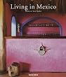 Living in Mexico: Jumbo