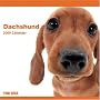 THE DOG�_�b�N�X�t���h 2009�N�J�����_�[