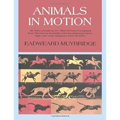 Animals in Motion (Dover Anatomy for Artists)