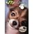 ���������˂� �`���� [DVD]