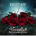DESTINY -THE LOVERS- (�ʏ��)