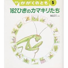 162�Ђ��̃J�}�L������ (�������̂Ƃ�������)