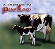 Rock Tribute to Pink Floyd