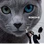 �]����T���f�B���T����