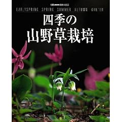 �l�G�̎R�쑐�͔| (�ʍ�NHK��̉��|)