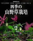 �l�G�̎R�쑐�͔| (�ʍ�NHK��̉��|)