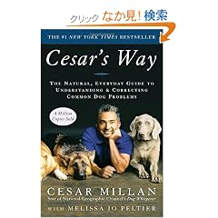Cesar's Way: The Natural, Everyday Guide to Understanding and Correcting Common Dog Problems