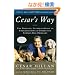Cesar's Way: The Natural, Everyday Guide to Understanding and Correcting Common Dog Problems