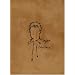 The Books of Albion: The Collected Writings of Peter Doherty