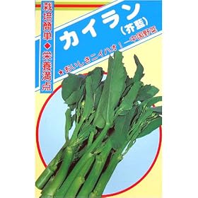 �J�C����(��ʎ�)