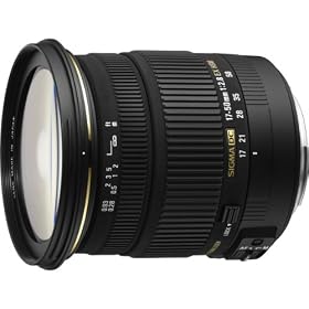 �V�O�} 17-50mm F2.8 EX DC OS HSM EO �L���m���p