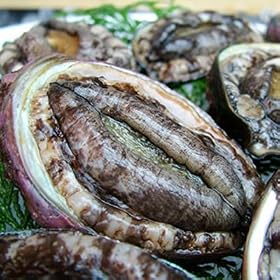�������1��-��50g�O��-20��