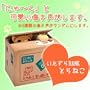 ��������BANK �Ƃ�˂�