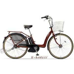 PAS Raffini S��PM26RS��[�����ͥåȥ����]