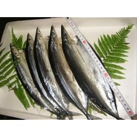 �D���� �T���}�J�� 5���Z�b�g
