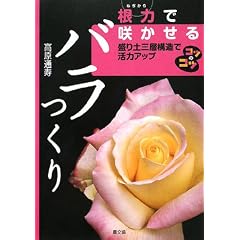 ���͂ō炩����o������\����y�O�w�\���Ŋ��̓A�b�v (�R�c�̃R�c�V���[�Y)