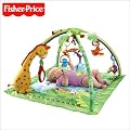 �x�r�[�W�� ���o�Y�j�� �@�t�B�b�V���[�v���C�X fisher-price ���C���t�H���X�g�f���b�N�X�W�� �v���C�W�� �y�q�������z