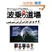 �g��蓹��\���`�����s�I��5�l���₳�����������T�[�t�B���̊�b�e�N�j�b�N���SHOW TO�u�b�N (�G�C���b�N�\How to surfing (512))