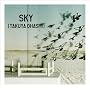 SKY(初回生産限定盤)(DVD付)