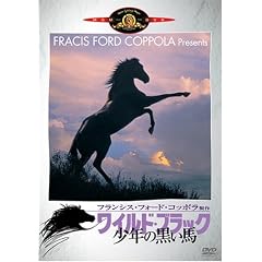 ���C���h�E�u���b�N/���N�̍����n [DVD]