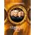�X�^�[�Q�C�g SG1 �V�[�Y��6 DVD�U�E�R���v���[�g�{�b�N�X