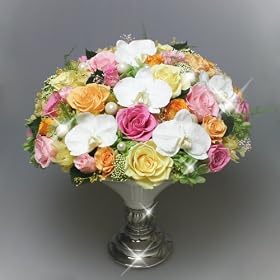 �������� �Ӓ����̃v���U�[�u�h�t�����[�A�����W ��̓��E�J�X�E�J�ƁE�ړ]�Ȃǂ��j����