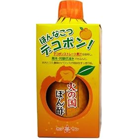 �z�V�T�� �΂̍��ۂ�| 300ml