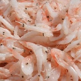 �A�~�̉��h1kg
