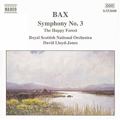 Symphony 3