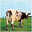 Atom Heart Mother