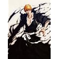 BLEACH [2012�N �J�����_�[]