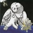 Magnolia Electric Co.