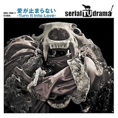 �����~�܂�Ȃ�-Turn It Into Love-(���񐶎Y�����)(DVD�t)