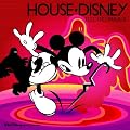 House��Disney -Electro Parade-