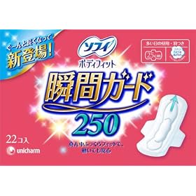 �\�t�B �{�f�B�t�B�b�g�u�ԃK�[�h 22��