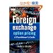 Foreign Exchange Option Pricing: A Practitioners Guide (The Wiley Finance Series)