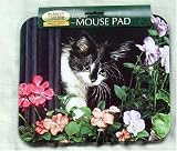  マウスパット猫柄　白黒猫