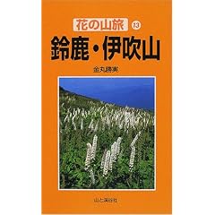 �鎭�E�ɐ��R (�Ԃ̎R��)