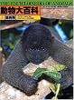 �쒷�� (������S��)