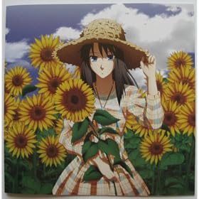 DJCD��̋��E the Garden of winters