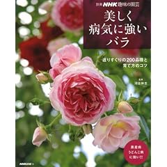 �������a�C�ɋ����o���\�I�肷�����200�i��ƈ�ĕ��̃R�c (�ʍ�NHK��̉��|)