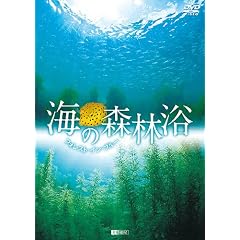 �V���t�H���X�gDVD �C�̐X�ї� �t�H���X�g�E�C���E�u���[