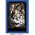 �g���j�e�B�E�u���b�h chapter.2 �R���N�^�[�Y�G�f�B�V���� [DVD]