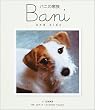 �o�j�̉Ƒ� (Books Pooka)
