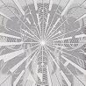 ＢＲＡＨＭＡＮのアルバムの画像