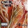 The Bleeding