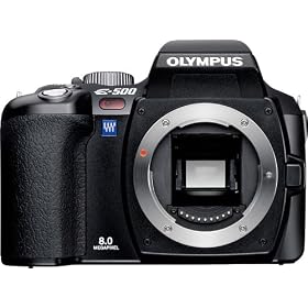 OLYMPUS �f�W�^����჌�t�J���� E-500 �u���b�N �{�f�B�P��